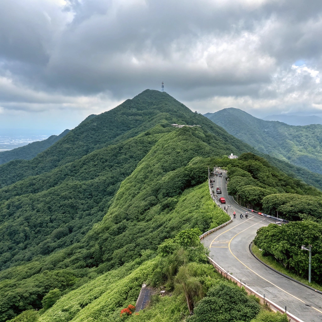 台湾茶叶发展史 ——从蛮烟瘴雨到东方茶岛的六百年嬗变